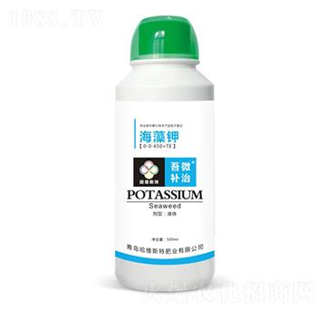 �����-��΢�a��-���S˹�طʘI(y��)