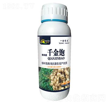 ����ǧ���-���ַ�