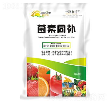 ����ͬ�a-���ַ�