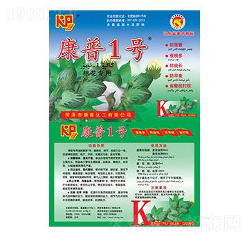 �½��޻�-����1̖(h��o)-���շʘI(y��)