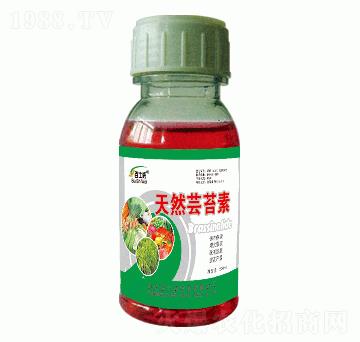 ��Ȼ�|̦��-��ʿ��