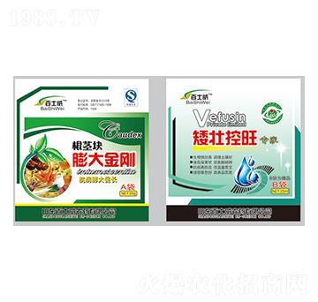 ���o�K������+���ѿ���-��ʿ��