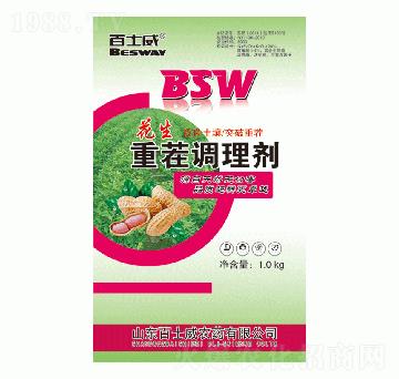 �����ز��{�턩-��ʿ��