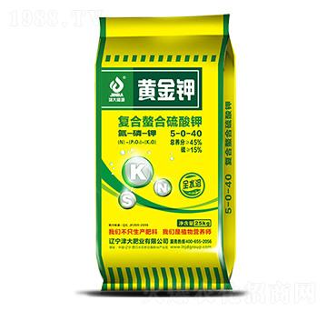 ��(f��)�����������-���ʘI(y��)