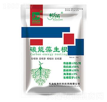 ̼��������-��������