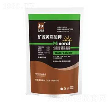 �VԴ�S�����-��������