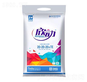 ����Ԫ��ˮ�ܷ�20-20-20-����-��������