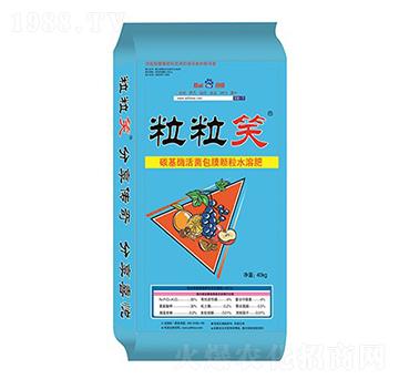 ̼��ø�����Ĥ�w��ˮ�ܷ�-����Ц-�A�I����