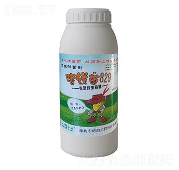 �Ⱦ�(xi��n)��829-�A�I����