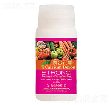 �ۺ��}��-һ����