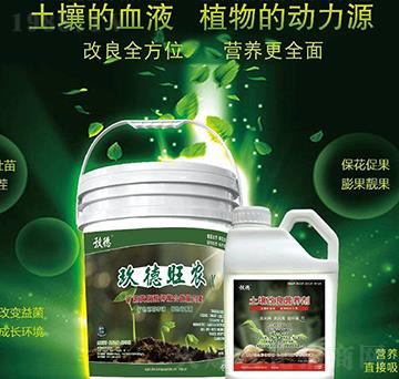 �������r+���������I�B(y��ng)��-������