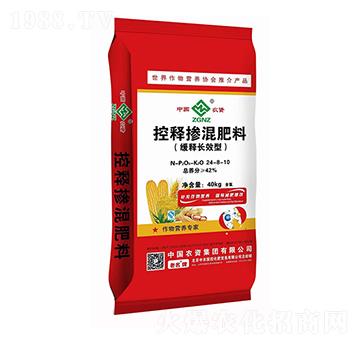 ����LЧ�Ϳ�ጓ������24-8-10-���r