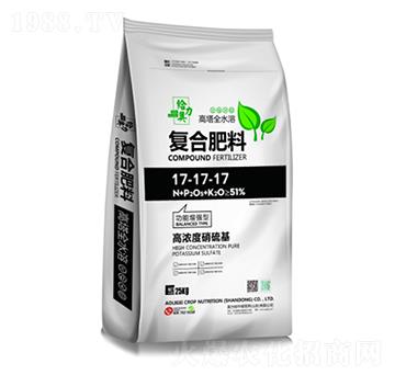 �ߝ��������ͺϷ���17-17-17-�W���o