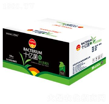 箱裝十億菌株（10億菌）-萬科