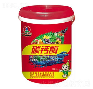 ̼�}øҺ�w-һ����