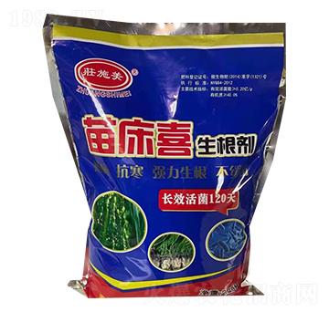 �紲ϲ������-�Pʩ������