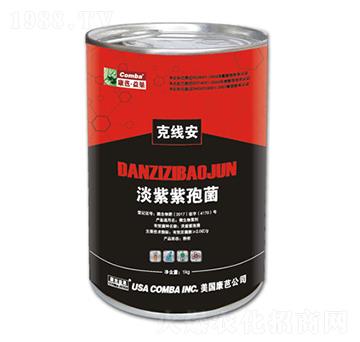 �������߾�-�˾���-��������