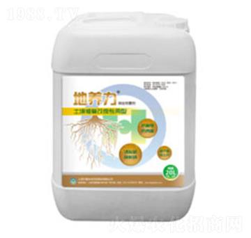 �����ޏ͸�������-���B(y��ng)��-���h(hu��n)���B(t��i)