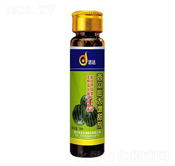 �������������-���_����