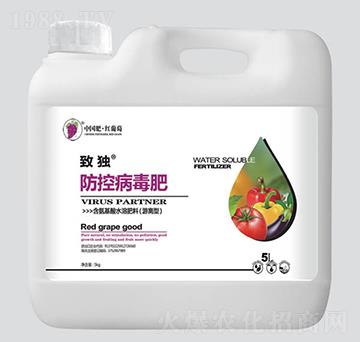 �ª����ز�����-�t����