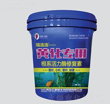 �S�����ø�ϵ����ø�ޏ���-���B�B-�t����