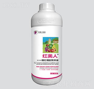 ���t����I�B(y��ng)Һ-�t����-�t����