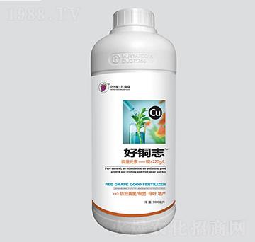 ���~־�~Ԫ��-�t����