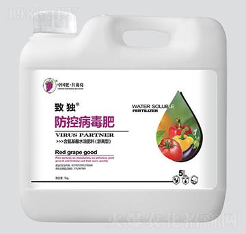 ���ز�����-�ª�-�t����