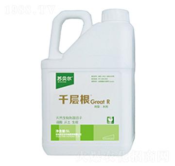 5Lǧ�Ӹ�-�Kؐ��