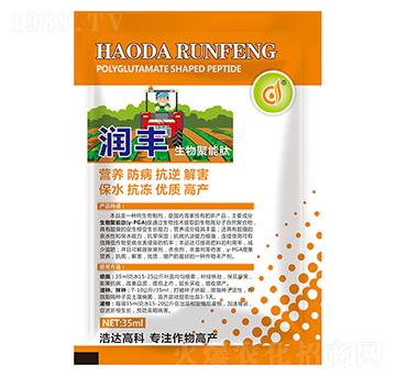 ���������-��(r��n)�S-���_(d��)����