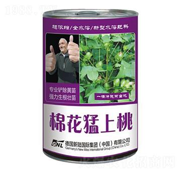 �޻��_ʩ���~���-�޻�������-�»�