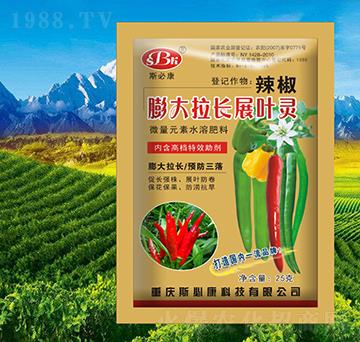 ����������L(zh��ng)չ�~�`-˹�ؿ�