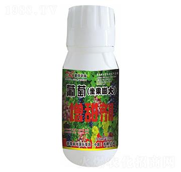 �����������������-�»�