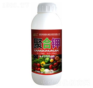 �ۺ��-�»�