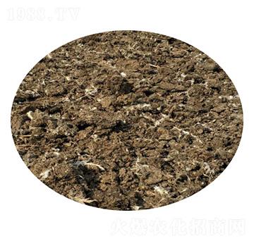 ���u�S-ʥ������