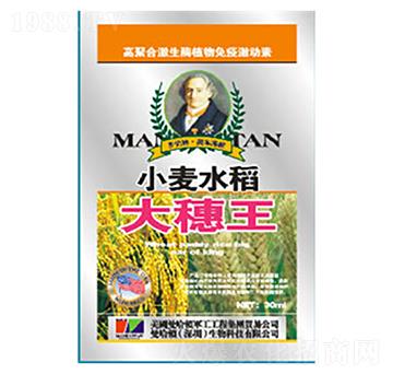 С��ˮ���~���-������-�»�