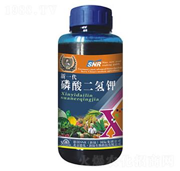 ��������-�»�