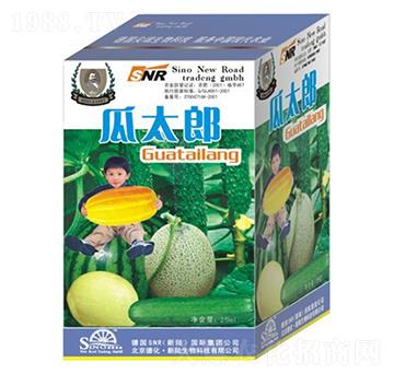 ��̫��-�»�