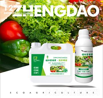 ֲ��I�B(y��ng)���߲ˌ���-��������