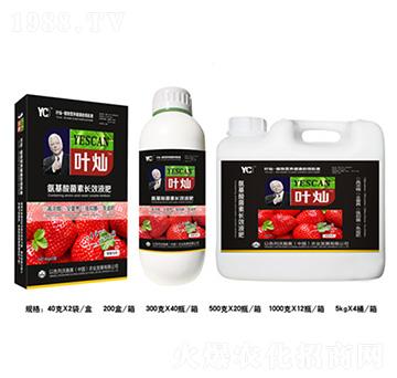 ��ݮ���ð���������LЧҺ��-�~�N-�»�