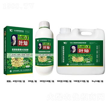 ��������������LЧҺ��-�~�N-�»�