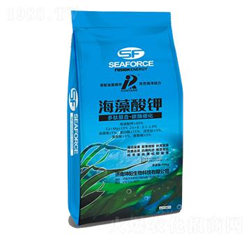 �������-���(y��ng)����