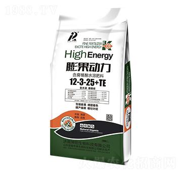 �����(d��ng)��12-3-25+TE-���(y��ng)����