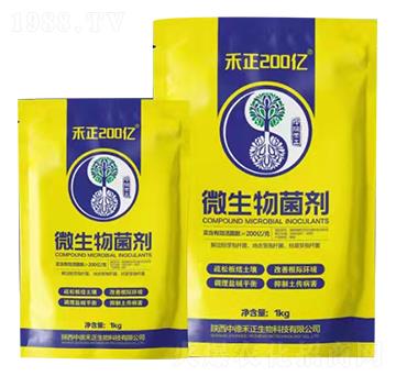 ΢�������-����200�|-�еº���