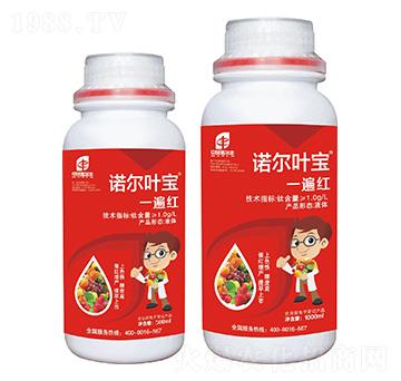 �Z���~��һ��t-�Z���S