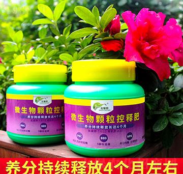 ΢�����w����ጷ�-������