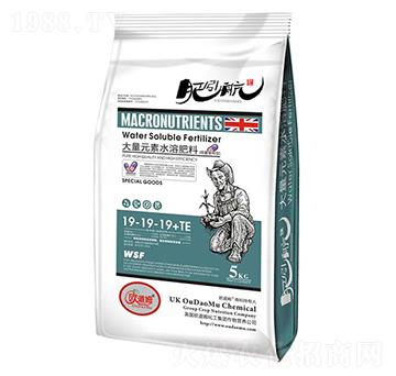 򾼤ø����Ԫ��ˮ�ܷ�19-19-19+TE-������-�W��ķ