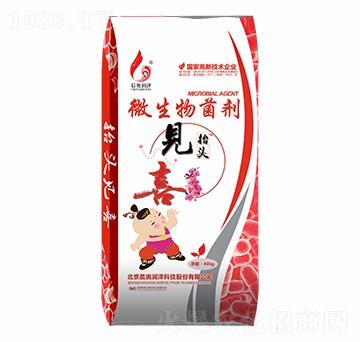 ΢����������w����̧�^Ҋ(ji��n)ϲ-���W��(r��n)��