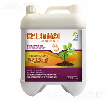 �����ޏ�(f��)�;���-���W����