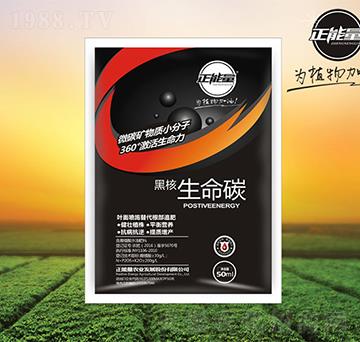 �ں�����̼-������